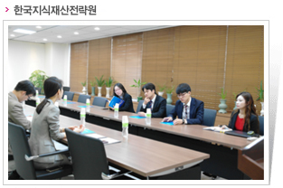 한국지식재산전략원