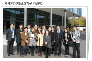 세계지식재산권기구 (WIPO)